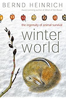 Winter World book cover
