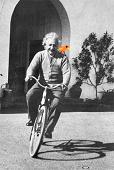 Einstein and Orangebird on Bike