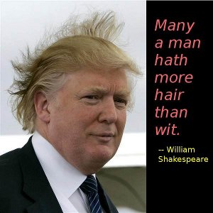 Donald Trump, with more hair than wit
